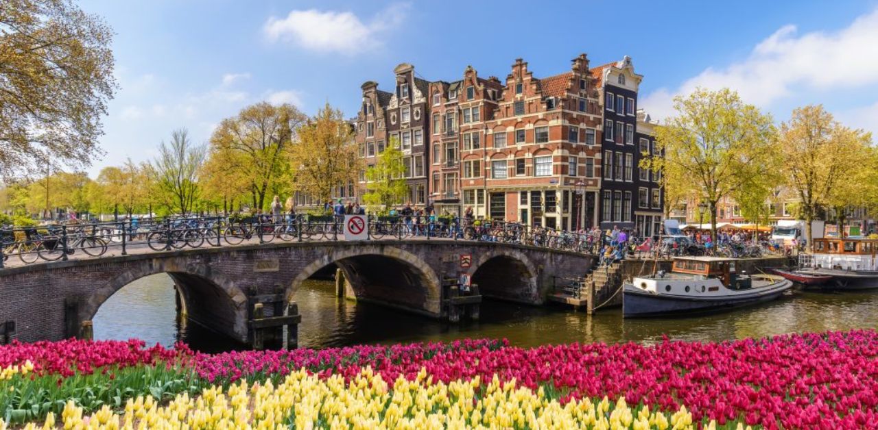 Corendon Airlines Amsterdam Office in Netherlands