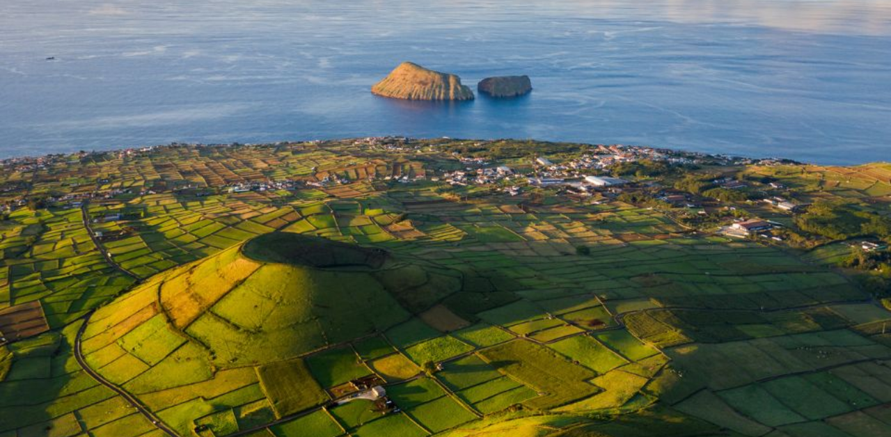 TAP Air Portugal Terceira Office